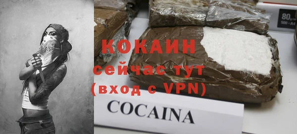 дмт Надым